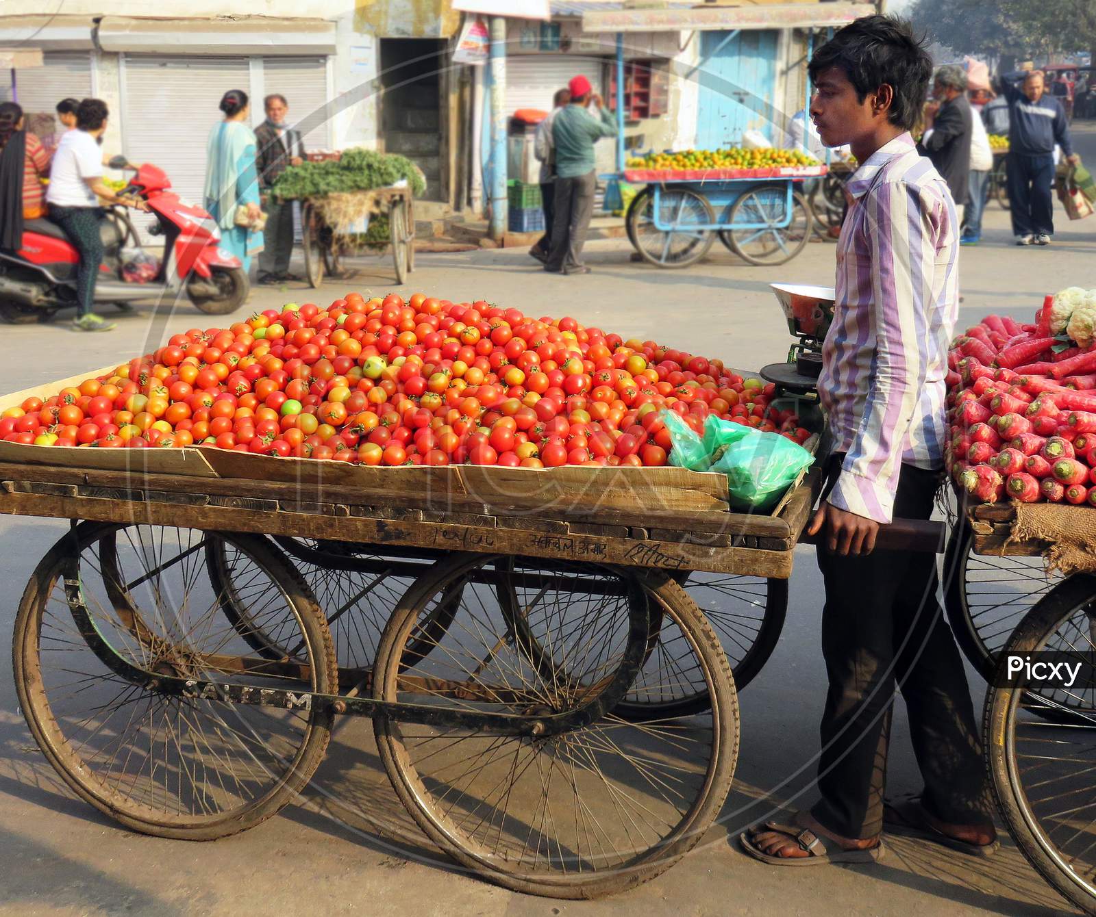 India Street Trade Tomatoes