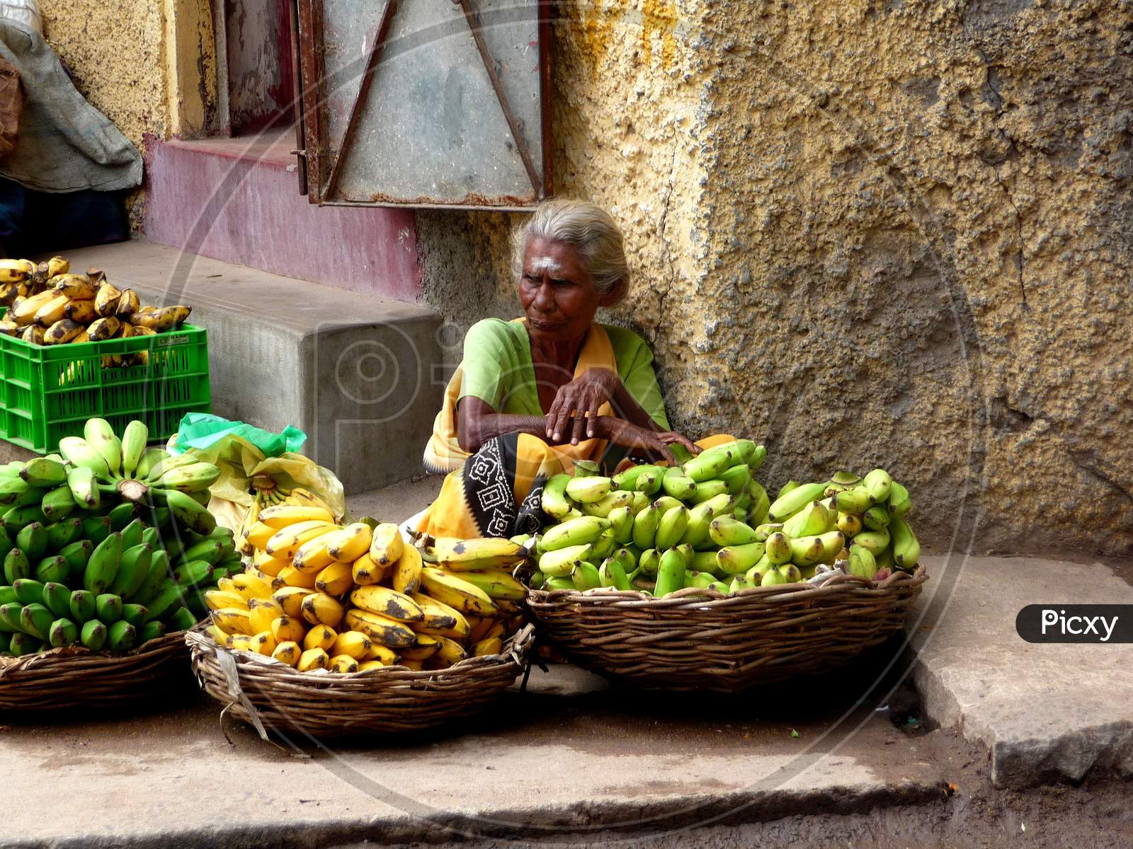 India Fruit Market Fruit