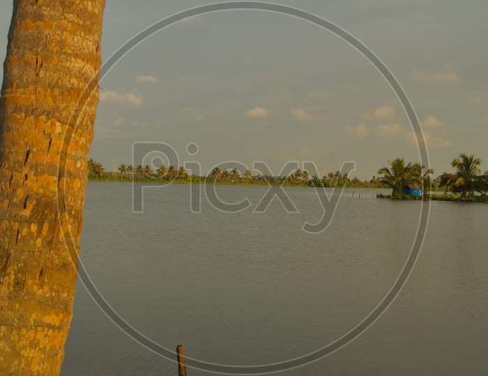 View From The Lake Banks With A Partial View Of The Coconut Trees