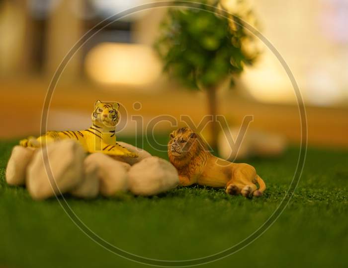 Tiger And Lion Of The Figure And The Savannah