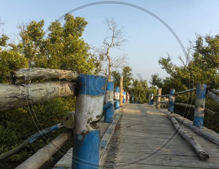 A Bamboo Bridge At The Entry Point Of "Henry Island" Near Bakkhali, 24 Parganas, India.