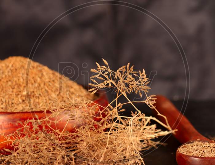 Cumin (Caraway) Spices On Wooden Spoon,Caraway Plant With Carvi Seeds On Black Background,Jira Plant, White Bowl In Zira
