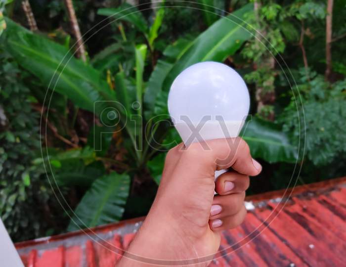 Hand Showing Led Bulb To Nature