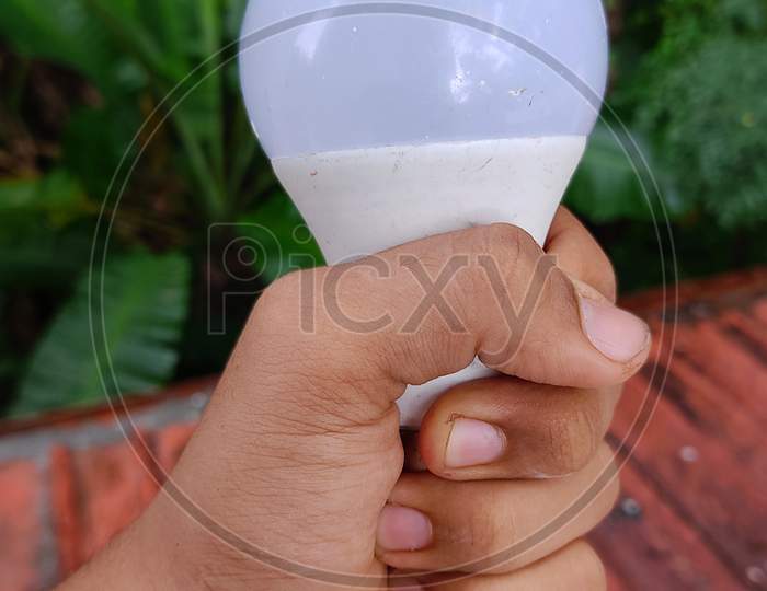 Hand Showing Led Bulb To Nature