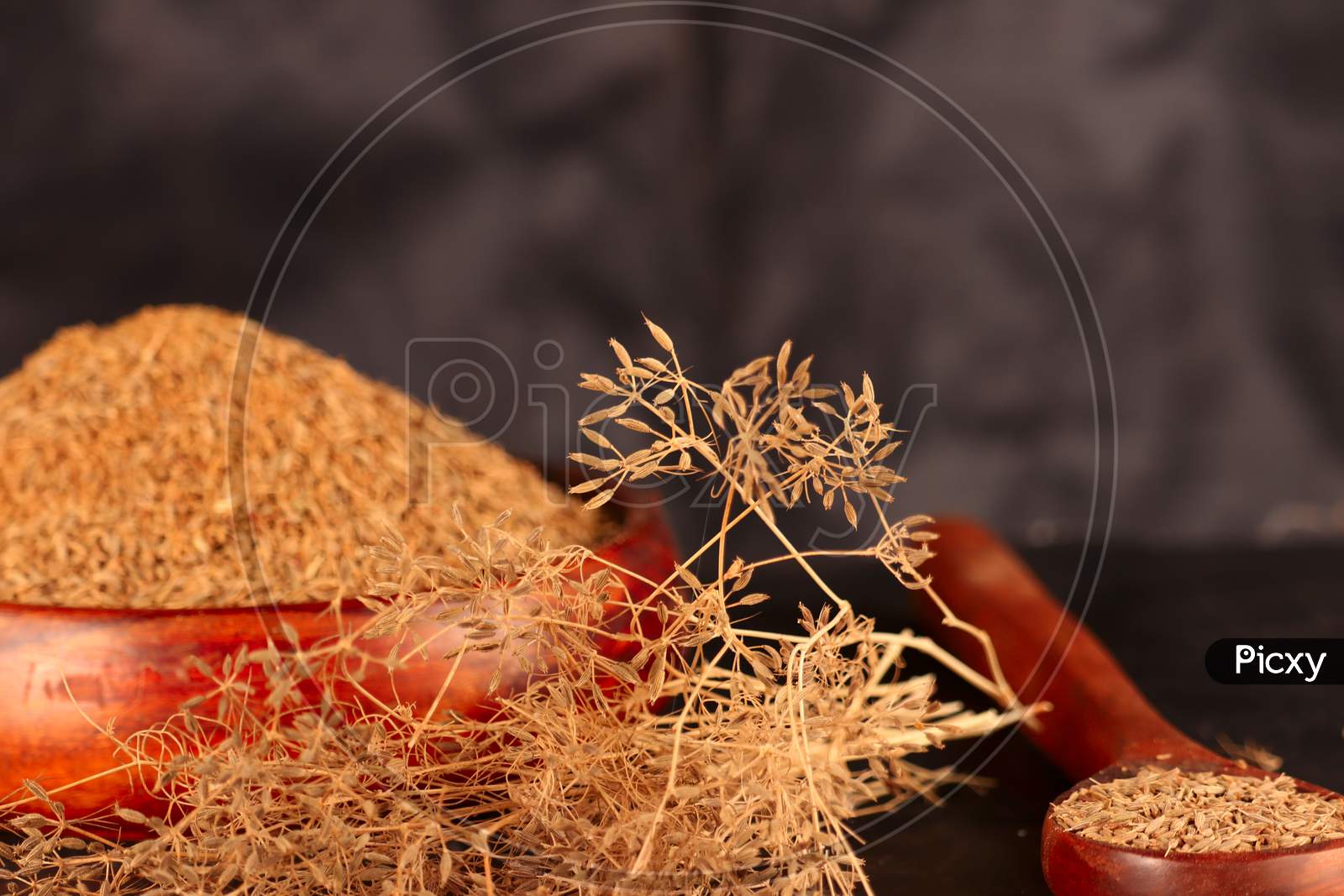 Cumin (Caraway) Spices On Wooden Spoon,Caraway Plant With Carvi Seeds On Black Background,Jira Plant, White Bowl In Zira