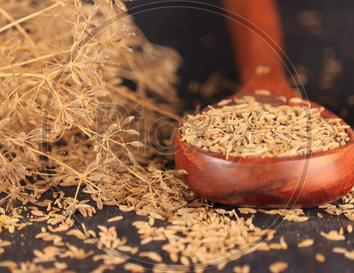 Caraway Plant With Carvi Or Cumin Seeds On Wooden Table With Black Background, Indian Popular Spice Zira Or Jeera,