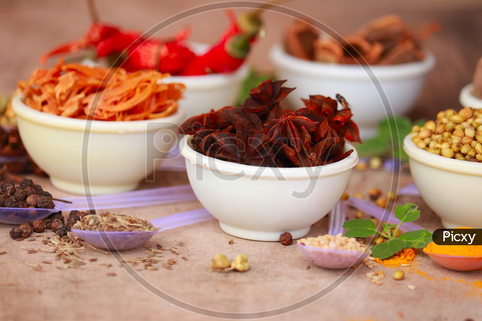 Spices And Herbs In White Bowls,Indian Exotic Gourmet Food Ingredients: Incl Turmeric,Spice For The Indian Curry,Garam Masala,Tandoori Masala,