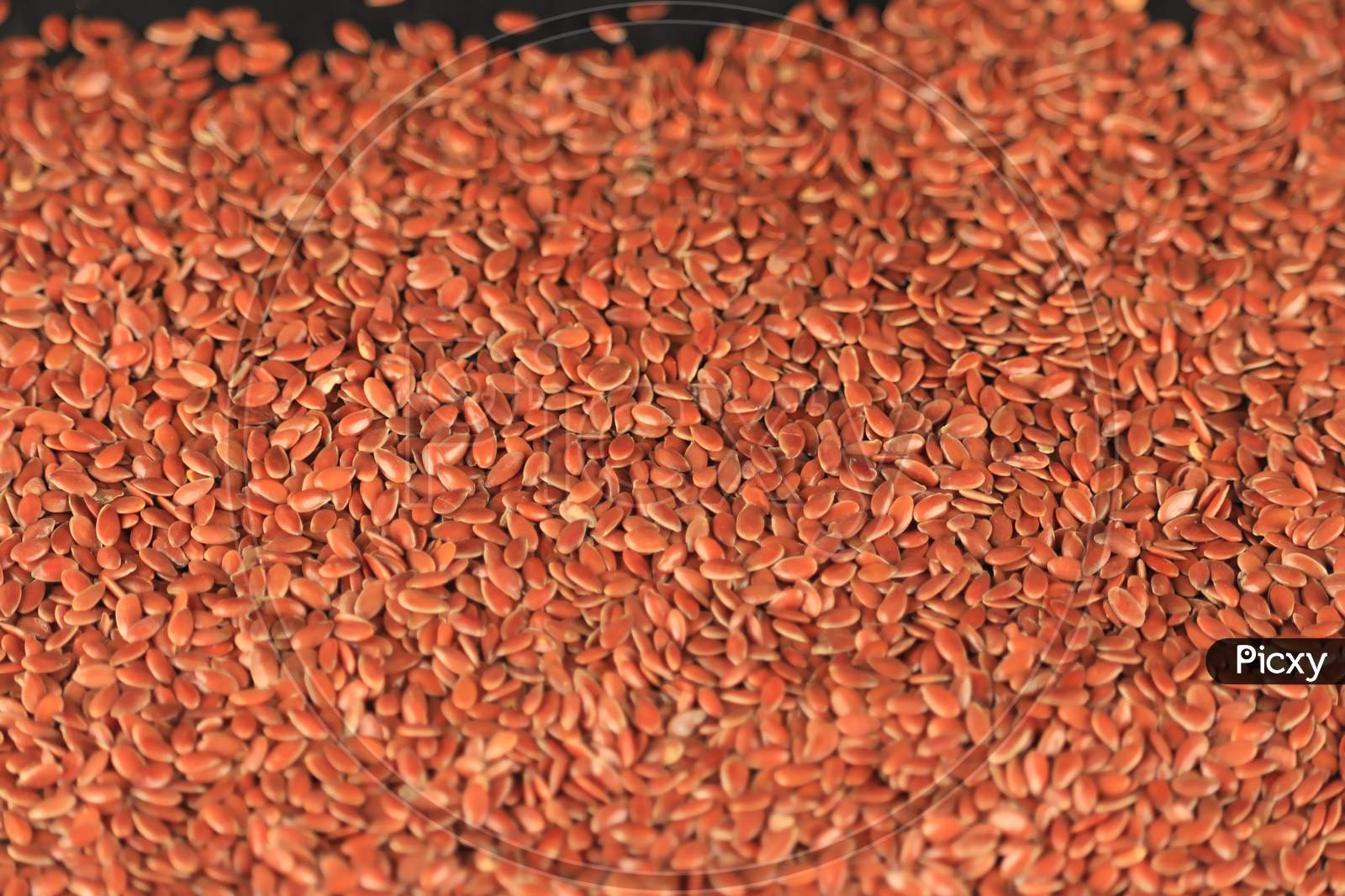 Flax Seeds Lyre, Photo Of Flax Seeds,Closeup Flax Seeds As Natural Background,