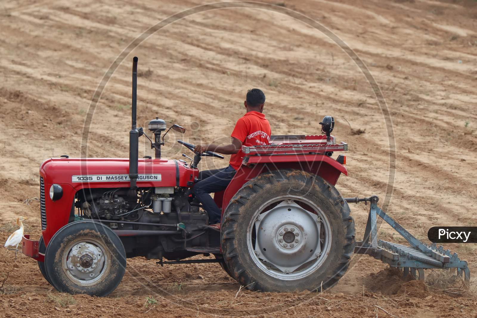 Farmer Driving Tractor In The Field.