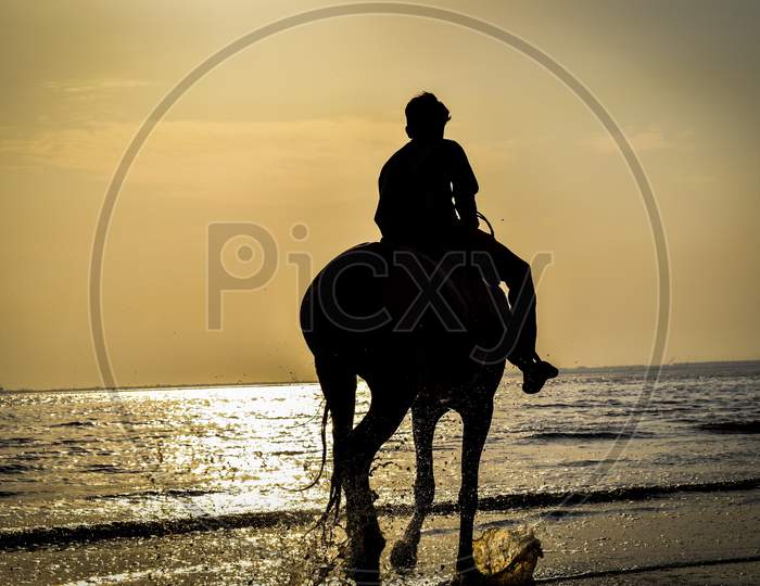 An Horse Rider