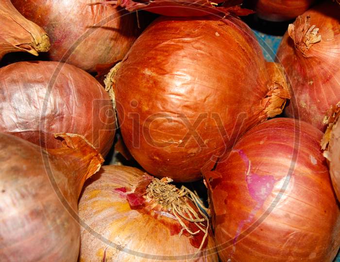 A Picture Of Onions With Selective Focus