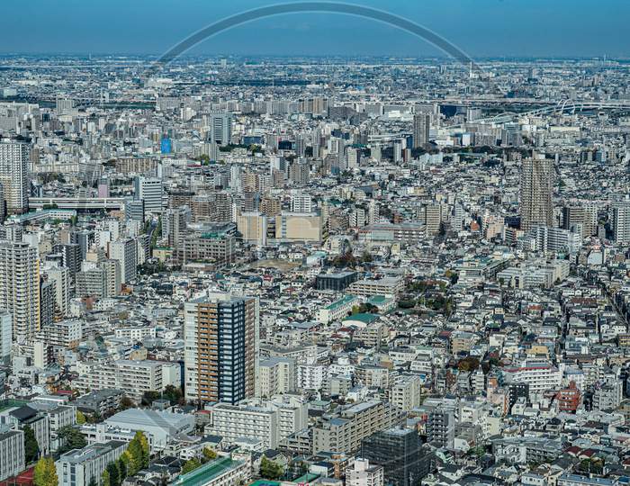 Tokyo Skyline Seen From The 60 Observatory Sunshine