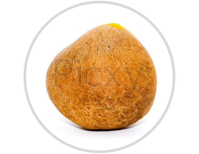 Coconut On White Background With Selective Focus