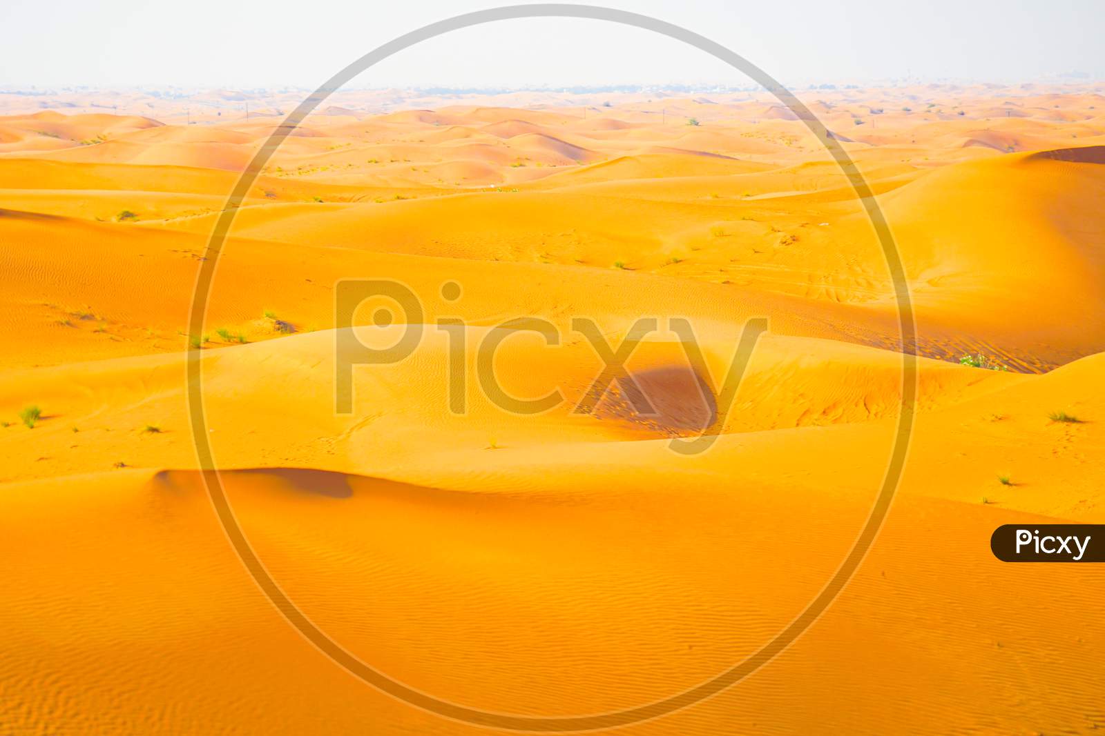 Arabian Desert Image