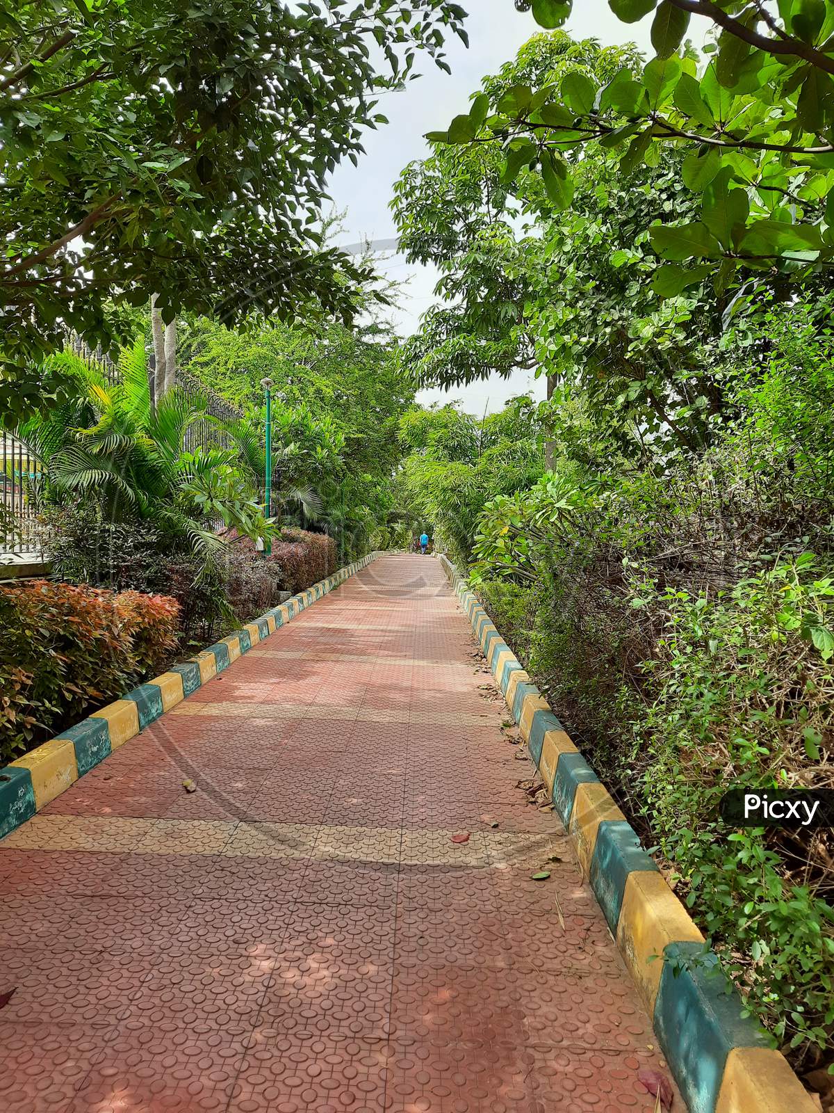 Beautiful Public Morning And Evening Walking Roads Inside The Park Well Maintained, Rock Or Stone Chairs For Sitting In The City Of Bangalore