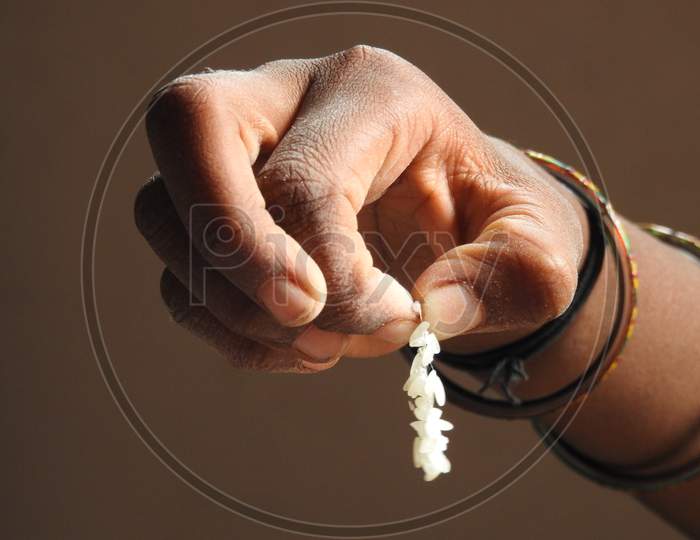 Indian Girl Yeasted Bunch Of Raw Rice Holding In A Hand