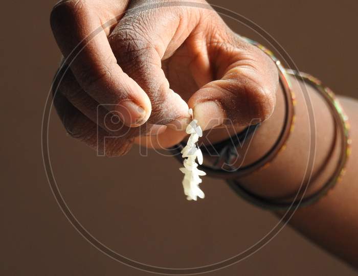 Indian Girl Yeasted Bunch Of Raw Rice Holding In A Hand