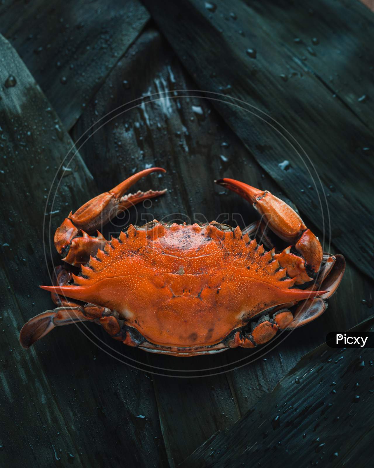 Soft shell crab dish