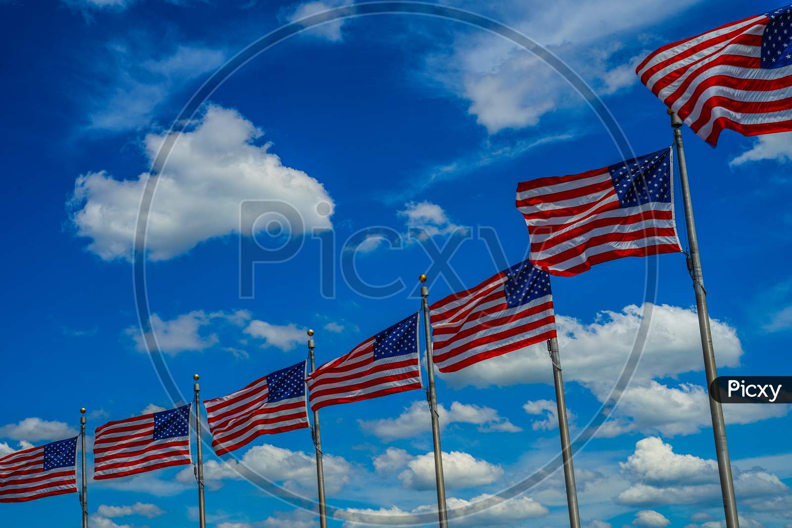 American Flag (Star Flag)