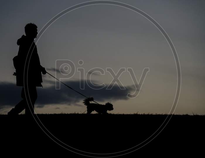 Silhouette Of A Dog Walk On A Hill At Dusk