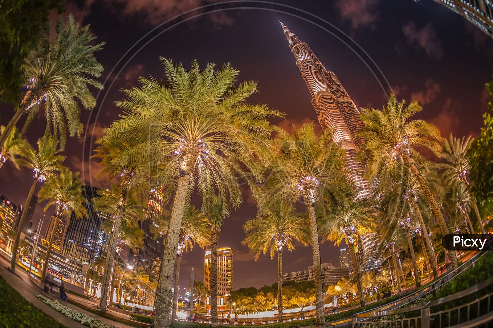 Night View Of Burj Harifa And Dubai (United Arab Emirates)