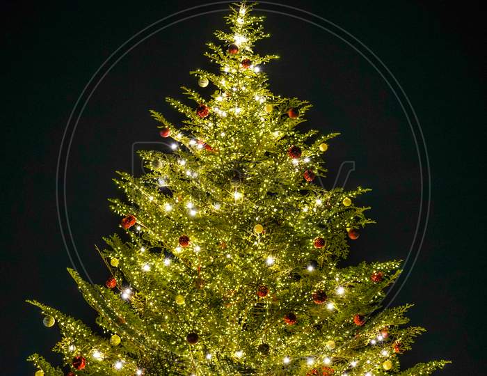 Shiny Christmas Tree (Christmas Market)