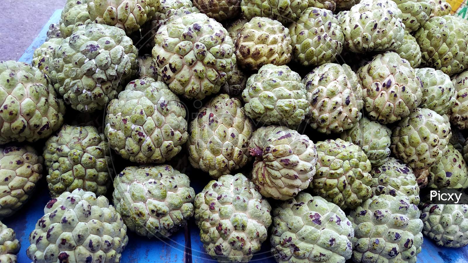Close Up Custard Apple Fruit To Sell In Fresh Market. Annona Reticulata
