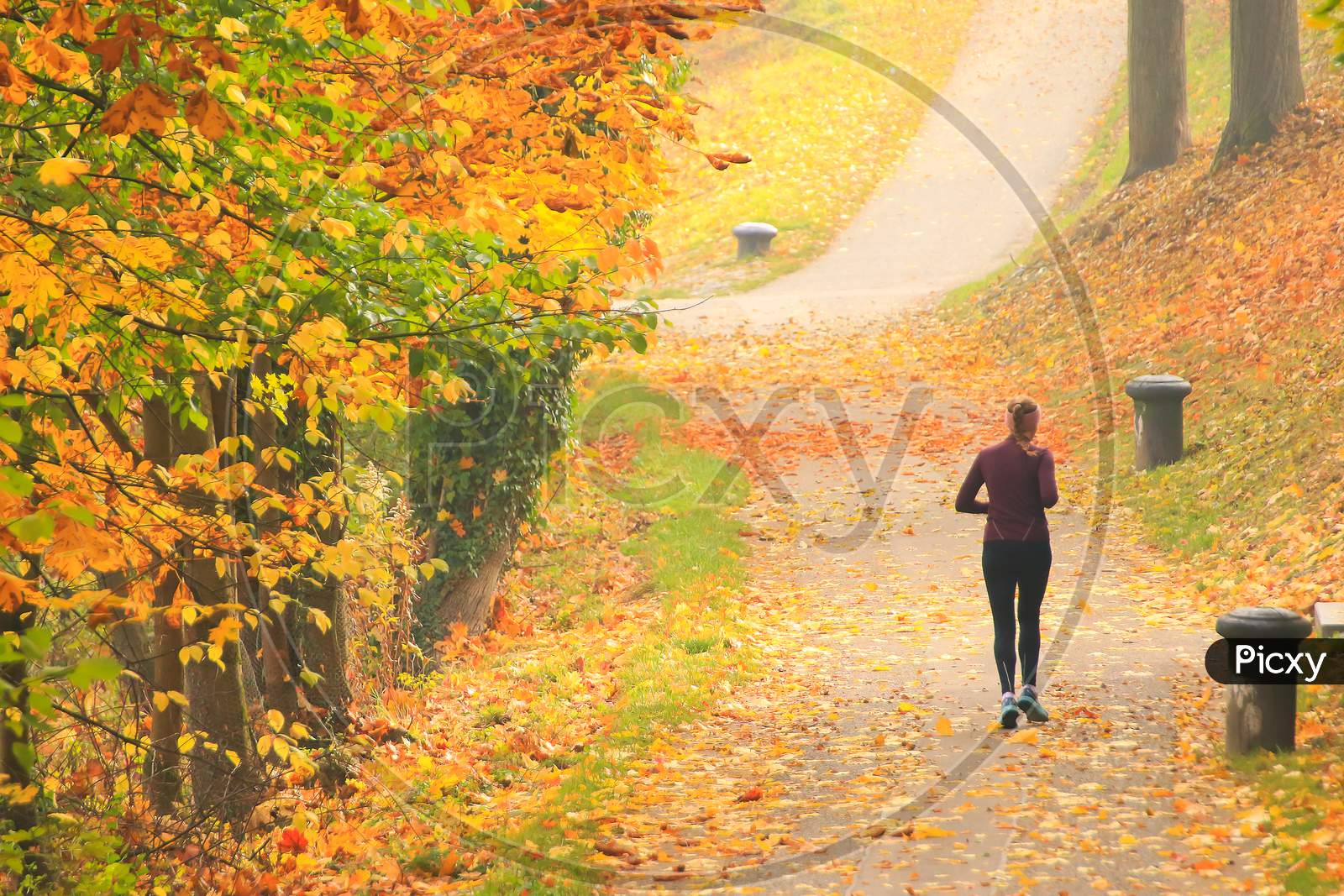 Woman Jogging On The Street In Autumn Season. View From The Back