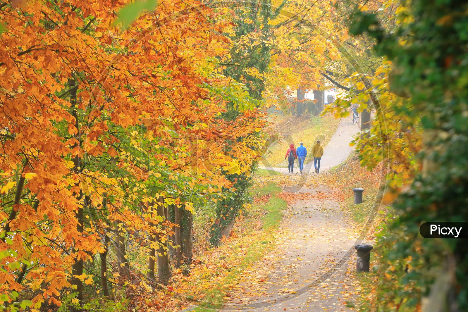 Regensburg, Germany: People Walking On The Street Along The Autumn Trees