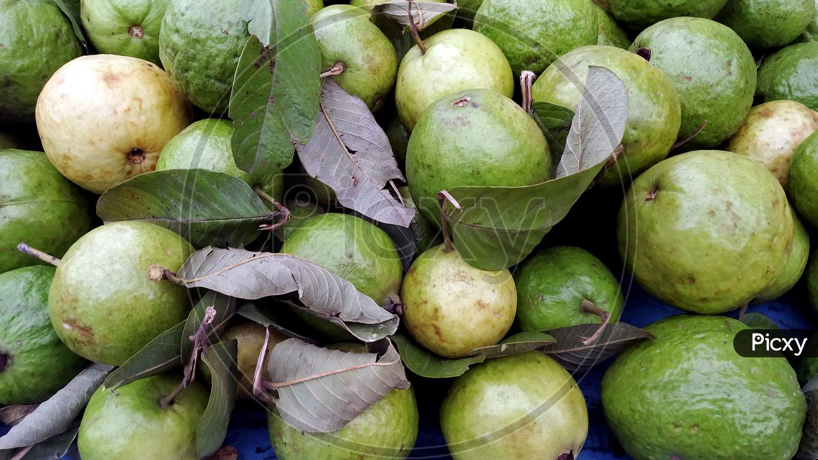 To Sell A Bunch Of Guava On The Street Market