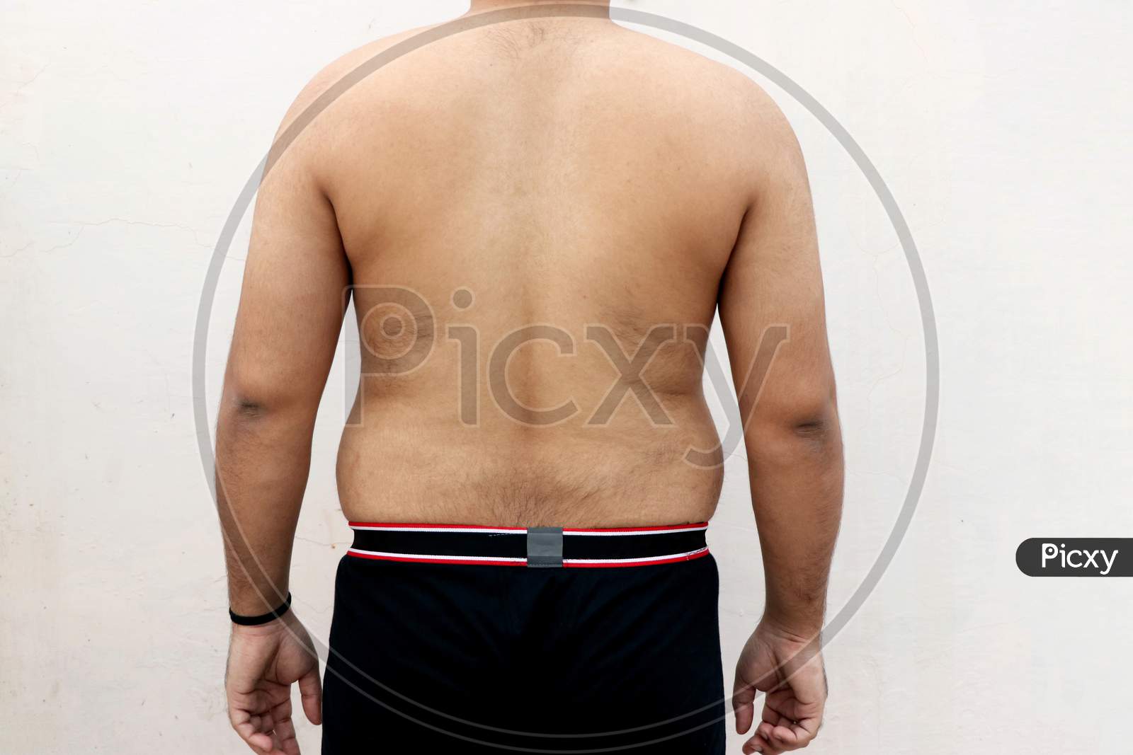 Image of Asian Fat Man Back Side Isolated On White-LP253374-Picxy