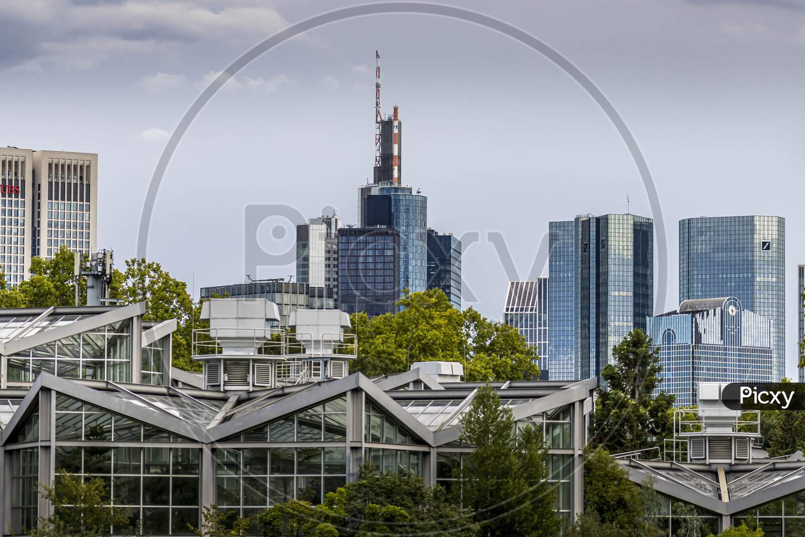 View to the skyline of Frankfurt - Main.