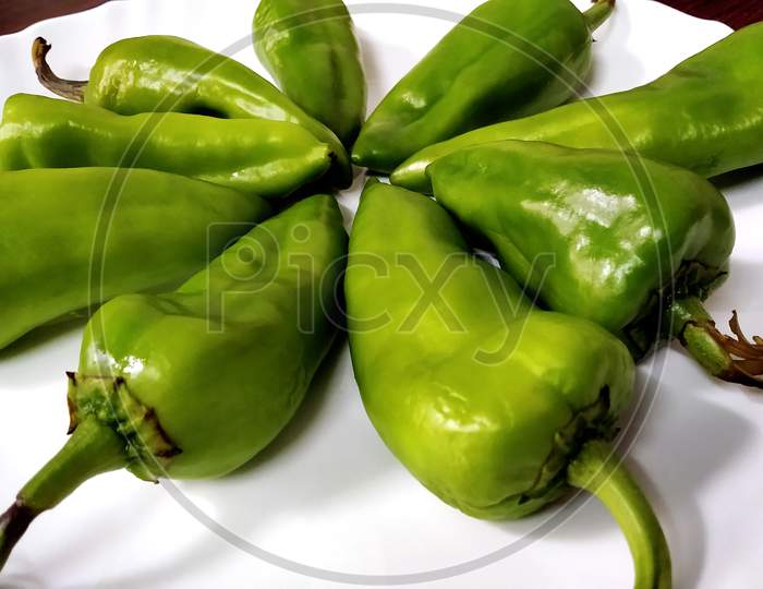 Big And Fresh Green Chilies Arranged On A White Plate