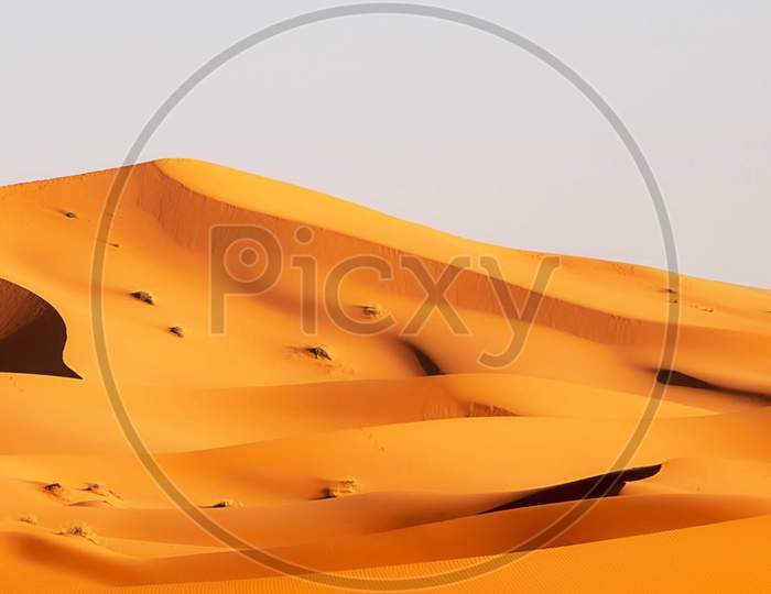 Creative  Sahara Desert pictures