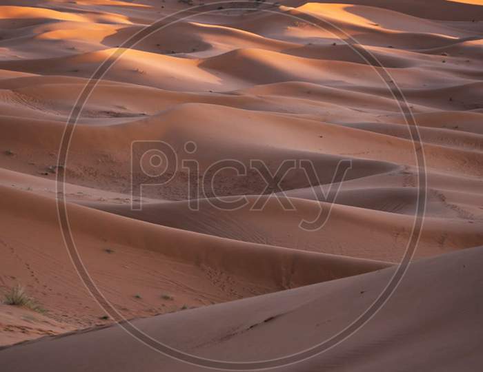 Creative  Sahara Desert pictures