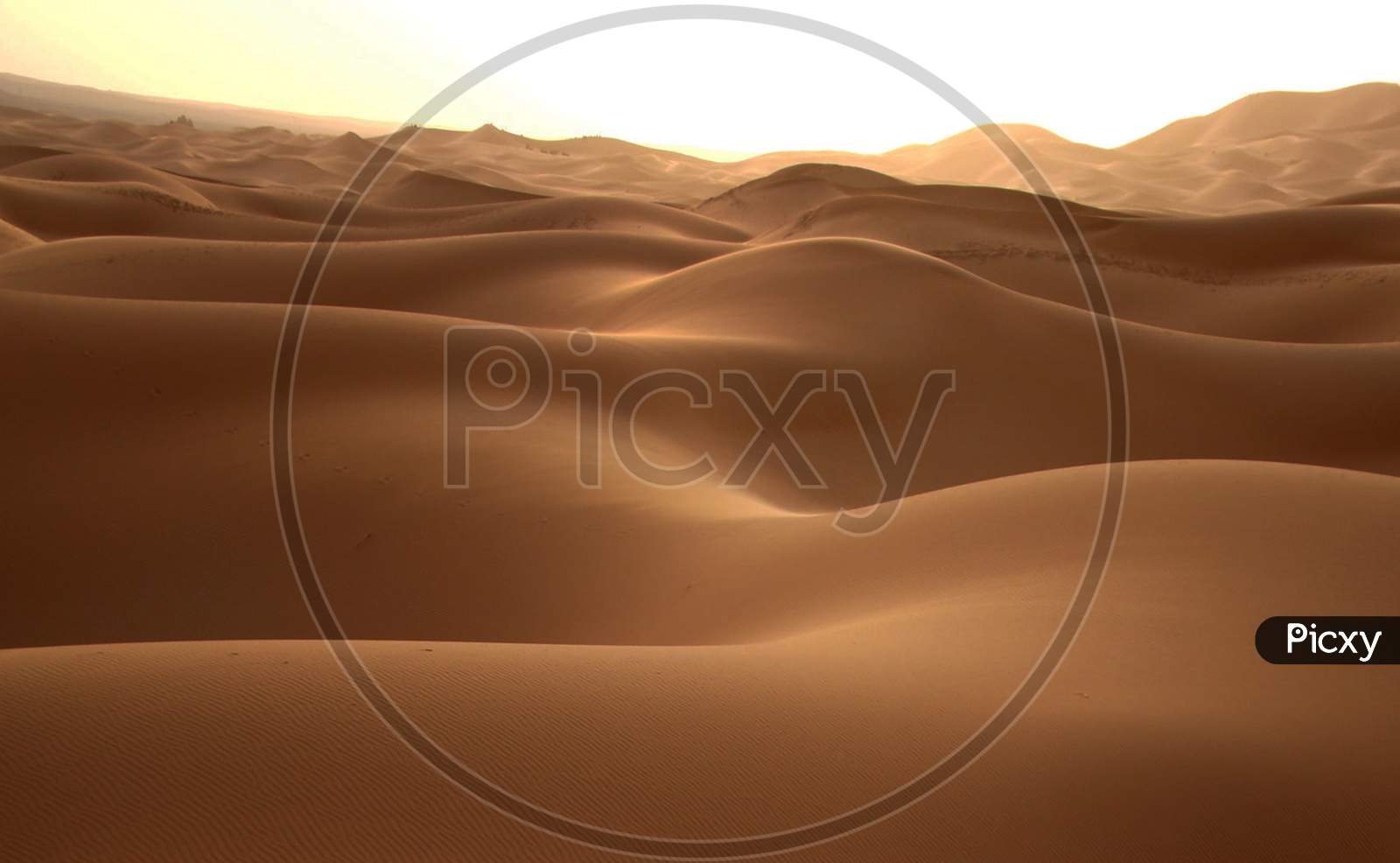 Sahara Desert pictures