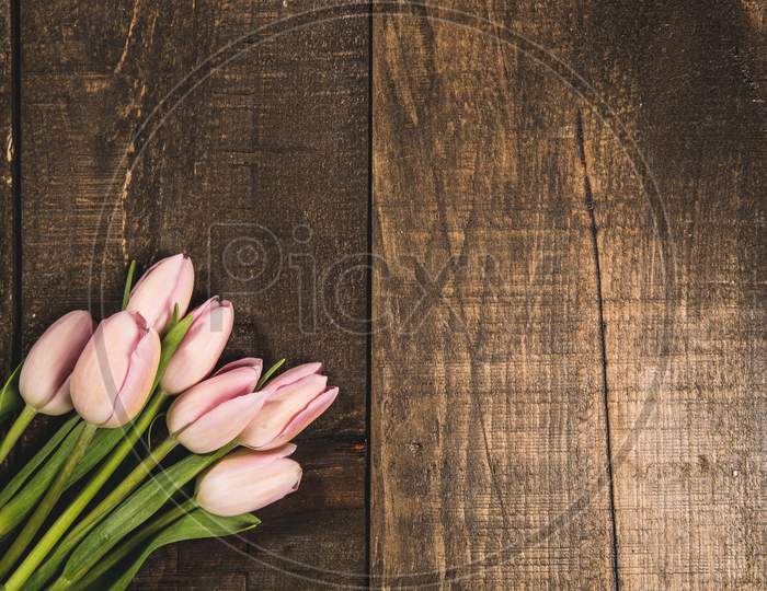 Pink Tulips On Wood Texture