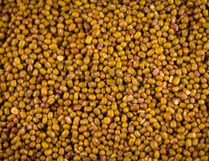 Clip Of Organic Moong Beans,Mung Bean Seeds (Vigna Radiata) Aka Green Gram,Maash Or Moong,