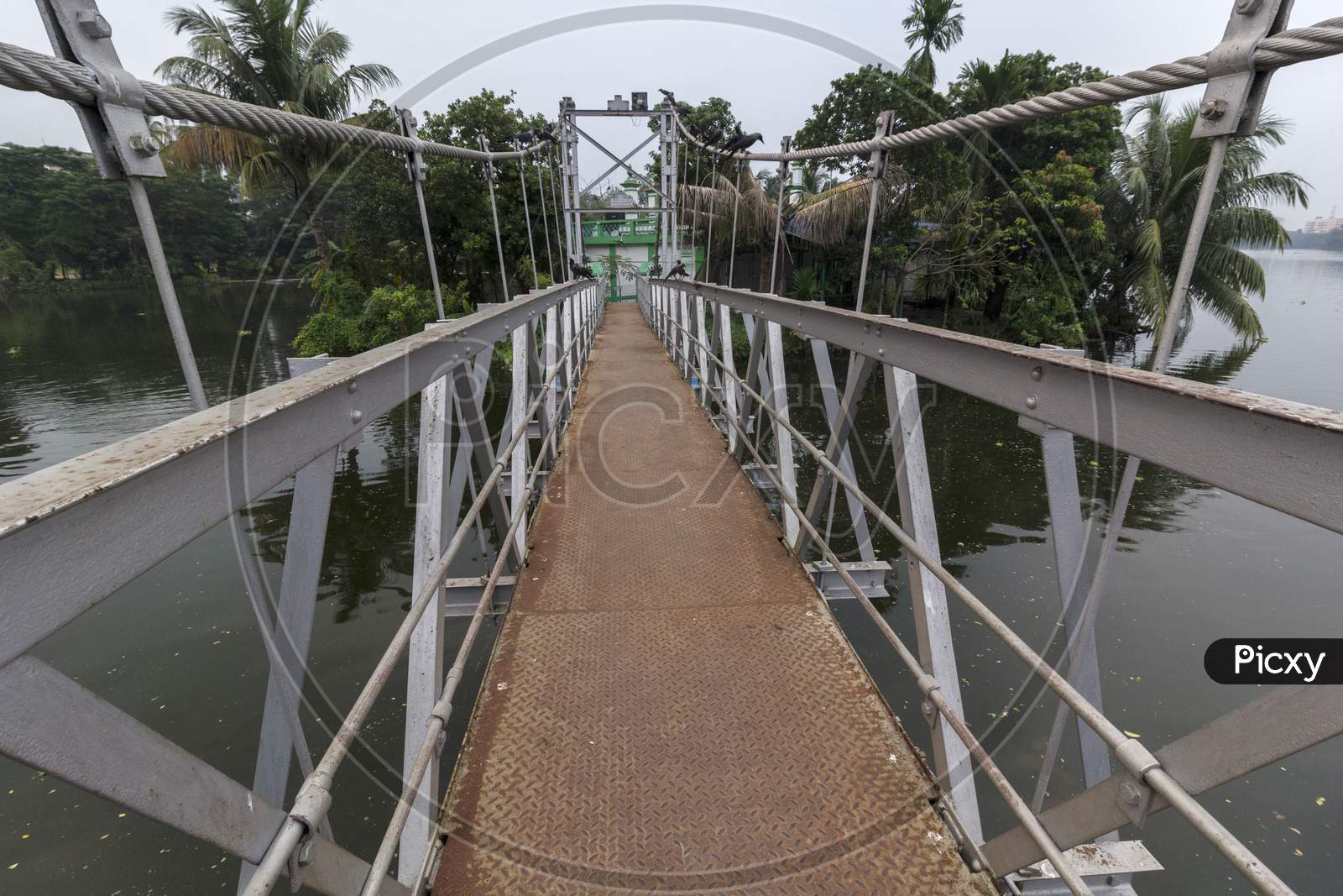 Beautiful Hanging Bridge At Rabindra Sarobar Lake Kolkata