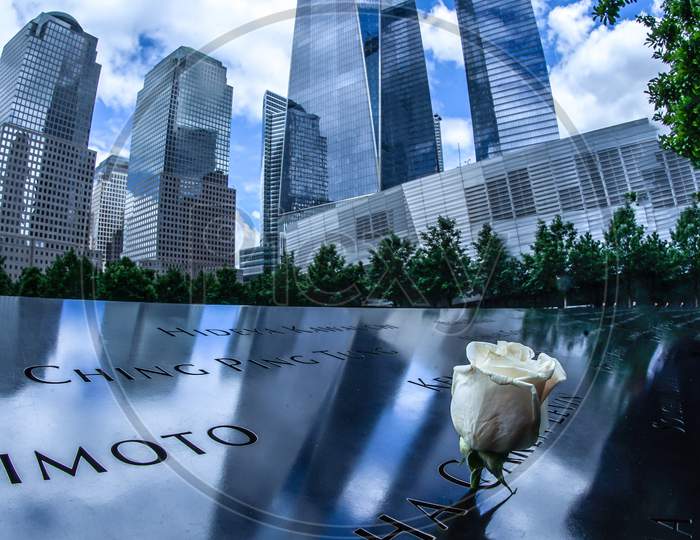 One World Trade Center And Ground Zero Roses
