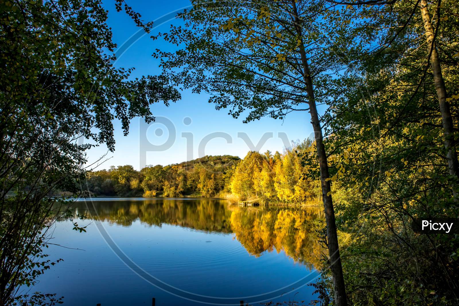 A beautiful little lake called Oberwaldsee in Germany at a sunny day in Autumn with a colorful forest reflecting in the water.