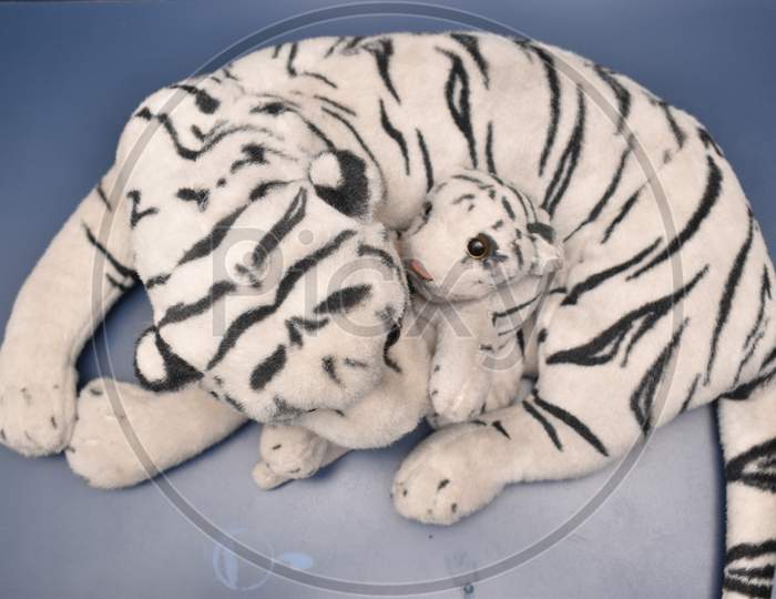 Top View Of White Bengal Tiger And Her Cub With Dark Blue Background