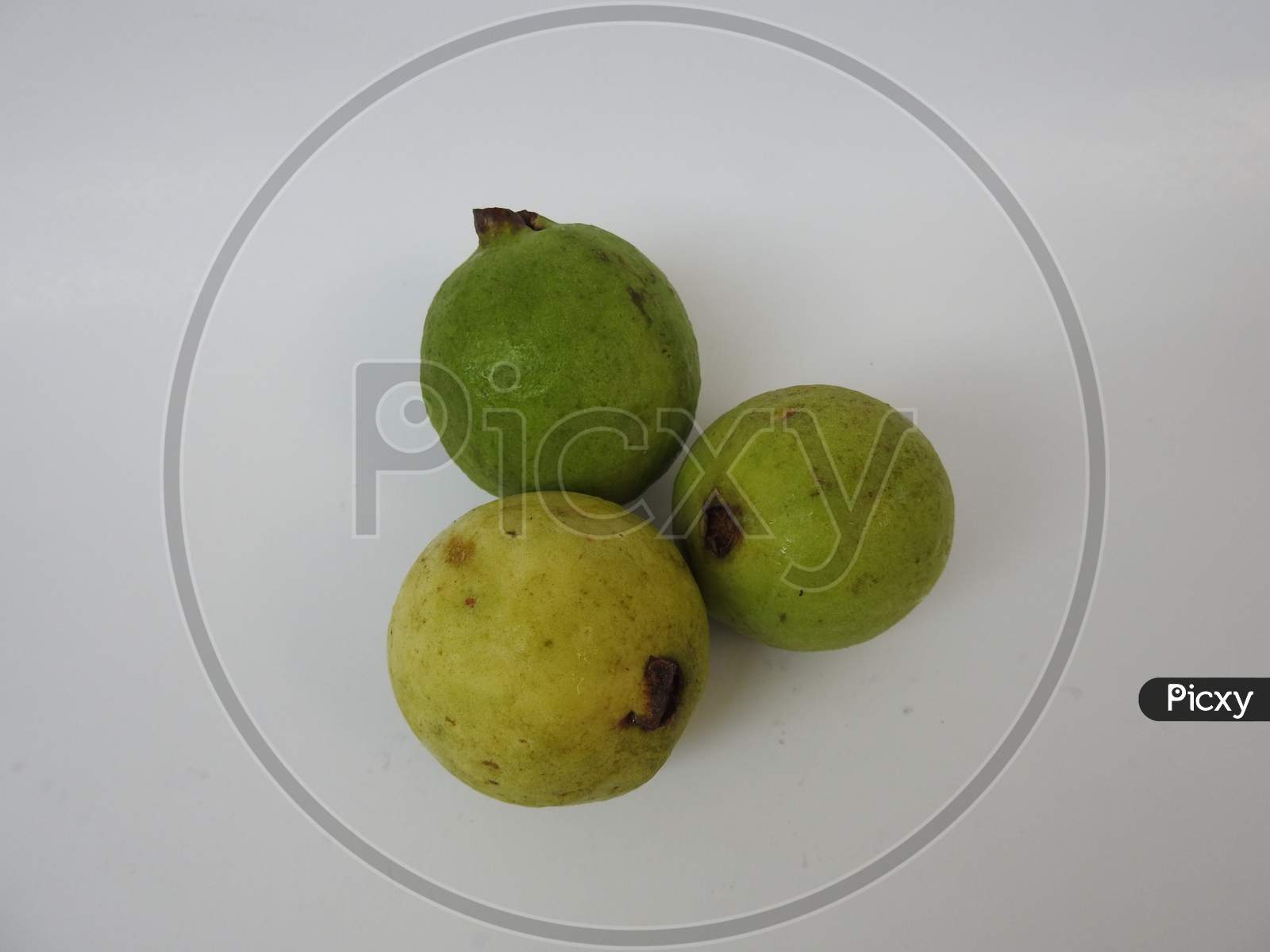 Three Green And Yellow Color Guava Fruit Isolated On White Background