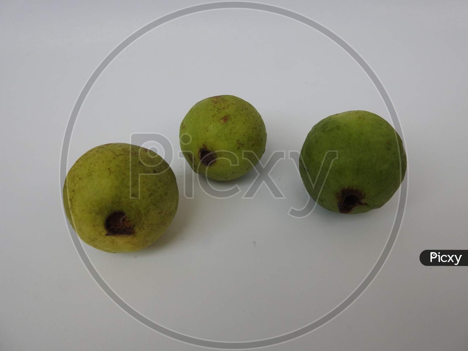 Three Green And Yellow Color Guava Fruit Isolated On White Background