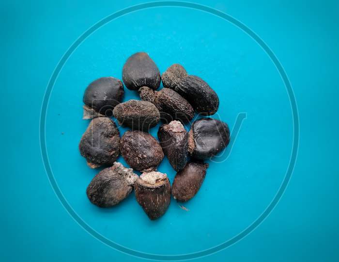 Semecarpus anacardium, commonly known as the marking nut tree, phobi nut tree and varnish tree is a medicinal plant commonly used in Ayurveda.Used for improving sexual power and increasing sperm count