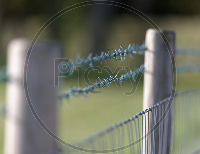 Selective Focus Image Of Freshly Made Double Barbed Wire Fence.
