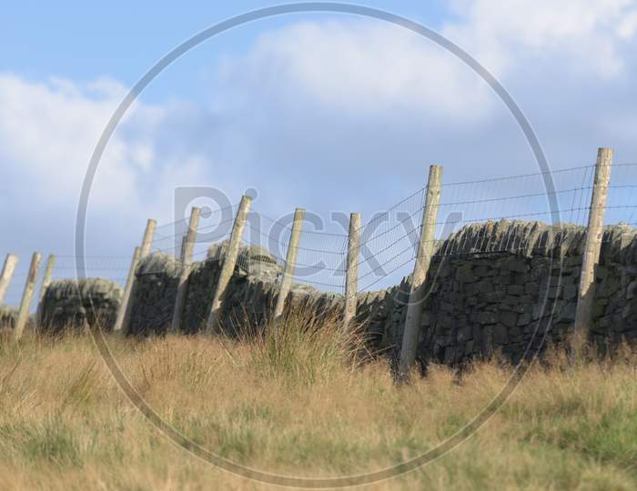 Warm Autumn Glow On A Field Of Long Grass With A Fence And Stone Wall