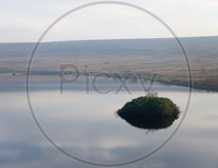 Twiggy Tree Pokes Out Of An Overgrown Island In Redmires Reservoir