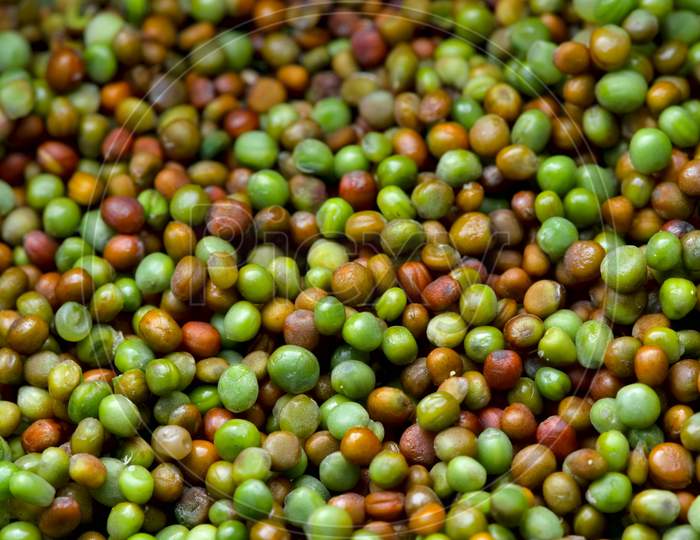 Selective Focus Background Komatsuna Japanese Green Seeds Red And Green Natural Vibrant Colors.