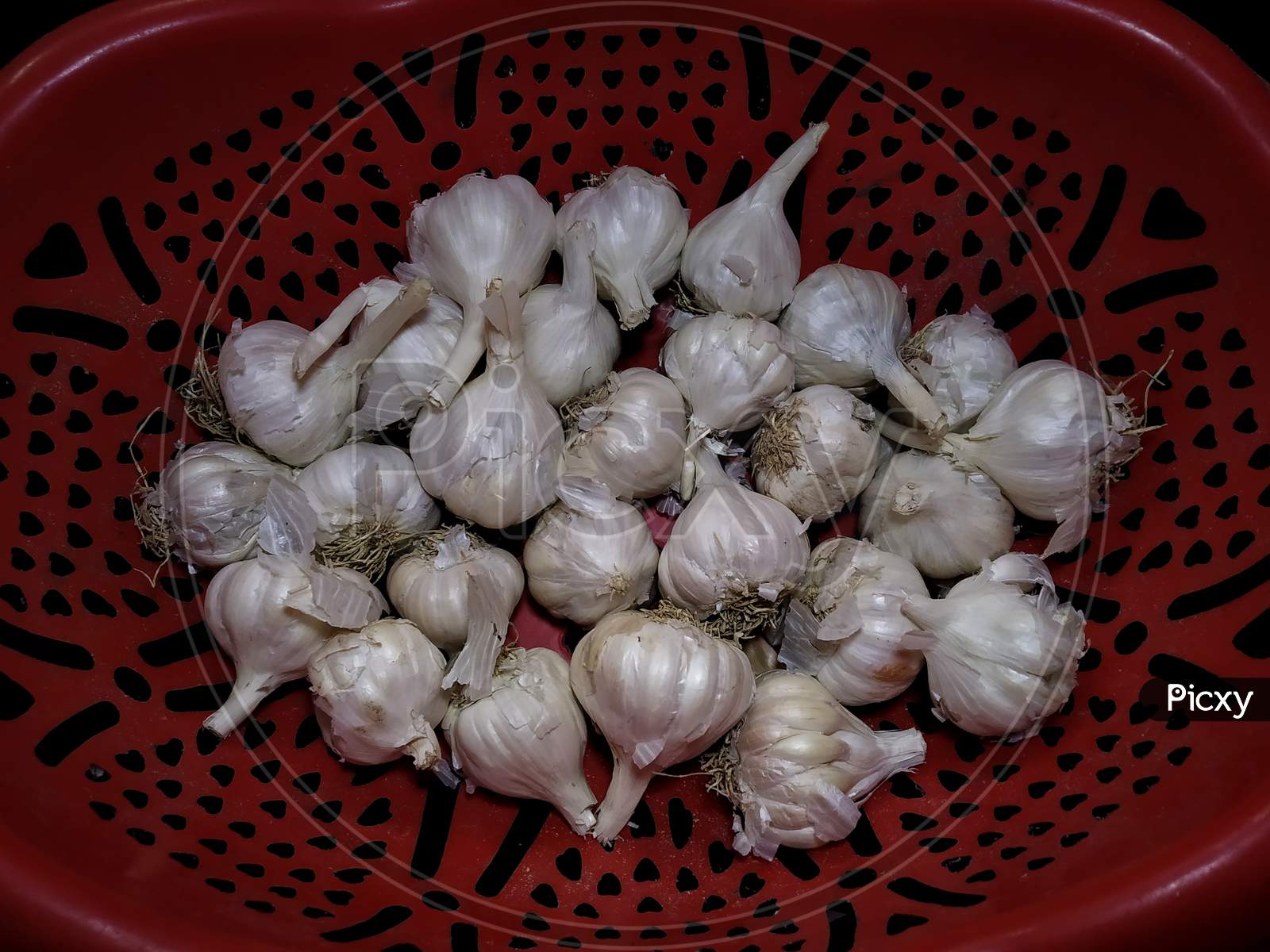 Garlics in red basket tray